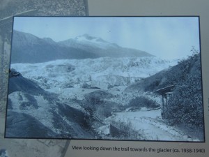 Look how big the glacier use to be in the '40's.