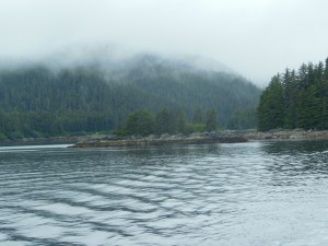 Foggy Morning