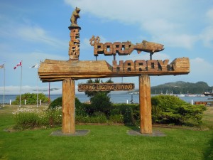 12 port hardy