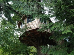 Devoe_Tree_House_copy